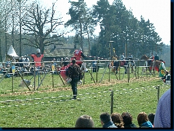 Der Lokalmatador beim Ringstechen